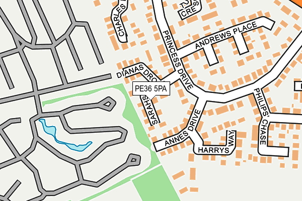 PE36 5PA map - OS OpenMap – Local (Ordnance Survey)
