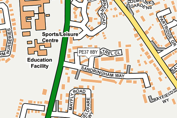 PE37 8BY map - OS OpenMap – Local (Ordnance Survey) PE37 8BY map - OS OpenMap – Local (Ordnance Survey)