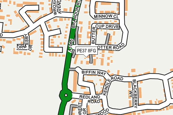 PE37 8FG map - OS OpenMap – Local (Ordnance Survey) PE37 8FG map - OS OpenMap – Local (Ordnance Survey)