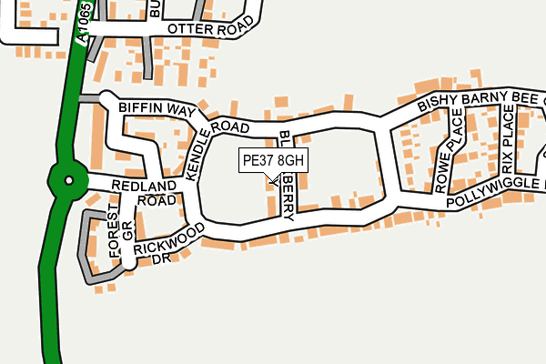 PE37 8GH map - OS OpenMap – Local (Ordnance Survey) PE37 8GH map - OS OpenMap – Local (Ordnance Survey)