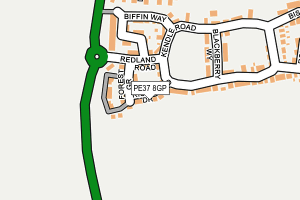 PE37 8GP map - OS OpenMap – Local (Ordnance Survey)