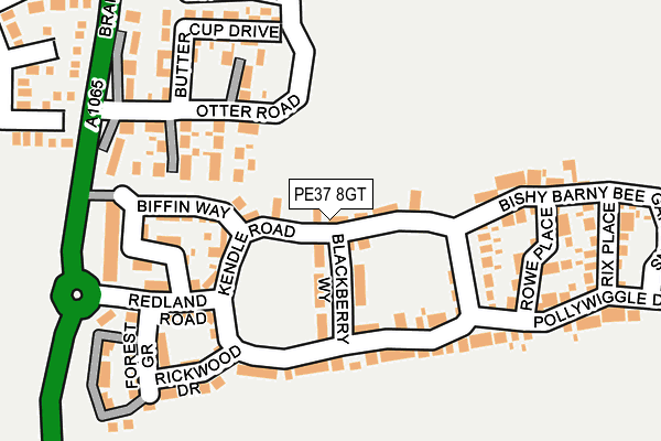 PE37 8GT map - OS OpenMap – Local (Ordnance Survey) PE37 8GT map - OS OpenMap – Local (Ordnance Survey)