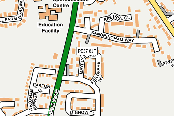 PE37 8JF map - OS OpenMap – Local (Ordnance Survey) PE37 8JF map - OS OpenMap – Local (Ordnance Survey)