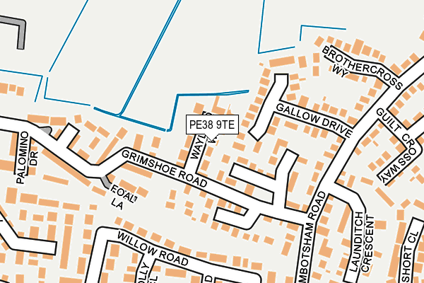 PE38 9TE map - OS OpenMap – Local (Ordnance Survey) PE38 9TE map - OS OpenMap – Local (Ordnance Survey)