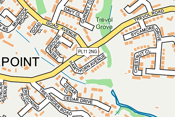 PL11 2NG map - OS OpenMap – Local (Ordnance Survey) PL11 2NG map - OS OpenMap – Local (Ordnance Survey)