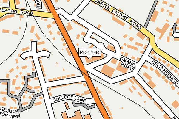 PL31 1ER map - OS OpenMap – Local (Ordnance Survey) PL31 1ER map - OS OpenMap – Local (Ordnance Survey)