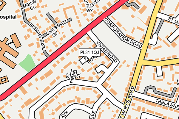 PL31 1QJ map - OS OpenMap – Local (Ordnance Survey) PL31 1QJ map - OS OpenMap – Local (Ordnance Survey)