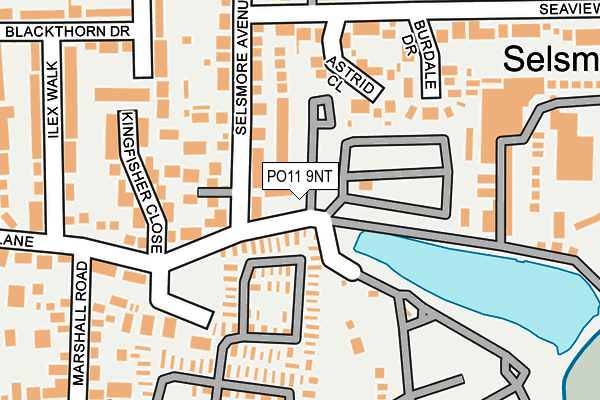 PO11 9NT map - OS OpenMap – Local (Ordnance Survey) PO11 9NT map - OS OpenMap – Local (Ordnance Survey)