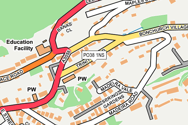 PO38 1NS map - OS OpenMap – Local (Ordnance Survey) PO38 1NS map - OS OpenMap – Local (Ordnance Survey)