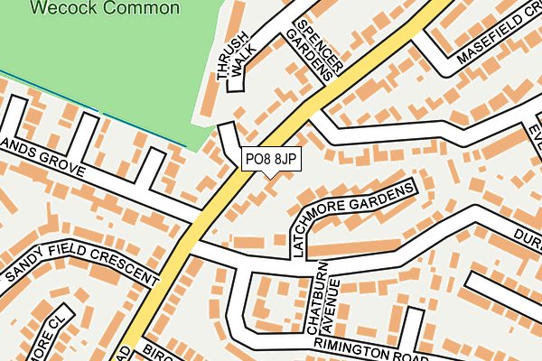 PO8 8JP map - OS OpenMap – Local (Ordnance Survey) PO8 8JP map - OS OpenMap – Local (Ordnance Survey)