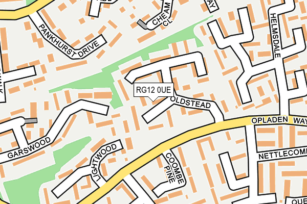RG12 0UE map - OS OpenMap – Local (Ordnance Survey) RG12 0UE map - OS OpenMap – Local (Ordnance Survey)
