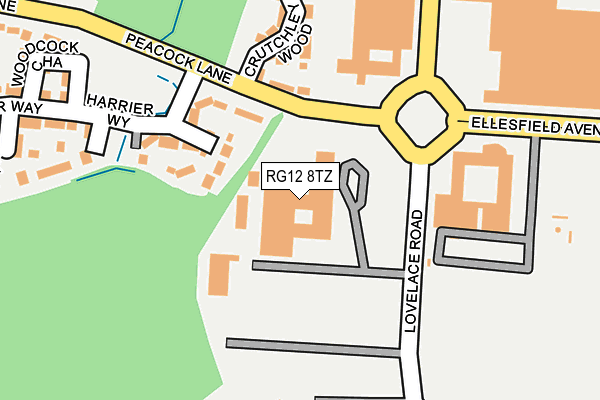 RG12 8TZ map - OS OpenMap – Local (Ordnance Survey) RG12 8TZ map - OS OpenMap – Local (Ordnance Survey)