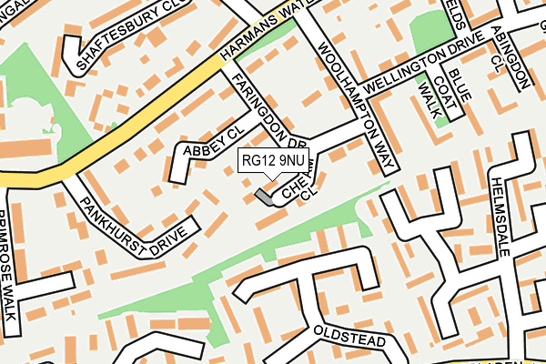 RG12 9NU map - OS OpenMap – Local (Ordnance Survey) RG12 9NU map - OS OpenMap – Local (Ordnance Survey)