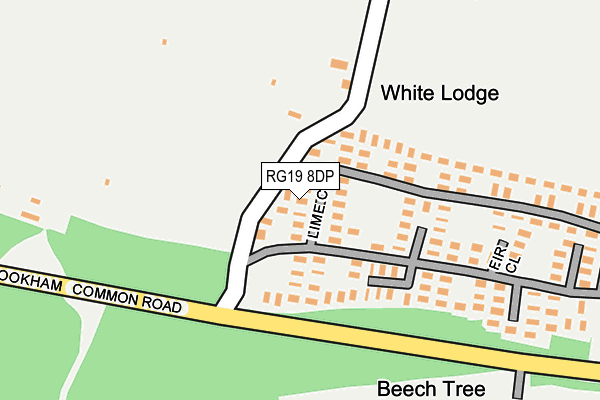 RG19 8DP map - OS OpenMap – Local (Ordnance Survey) RG19 8DP map - OS OpenMap – Local (Ordnance Survey)