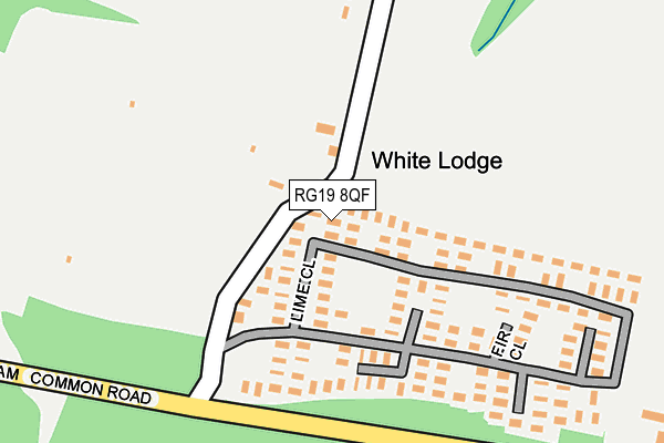 RG19 8QF map - OS OpenMap – Local (Ordnance Survey)
