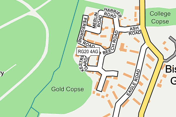 RG20 4AG map - OS OpenMap – Local (Ordnance Survey) RG20 4AG map - OS OpenMap – Local (Ordnance Survey)