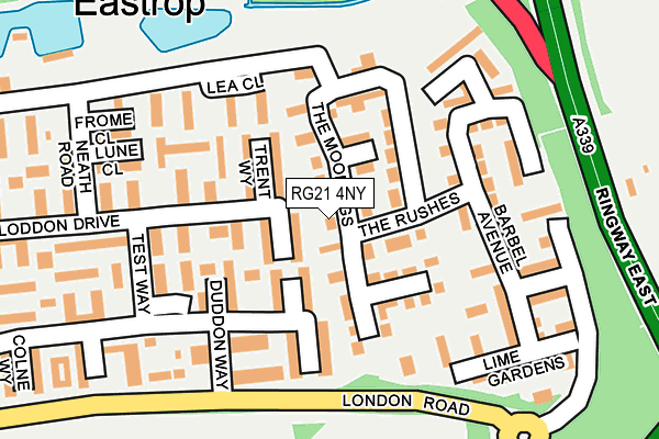 RG21 4NY map - OS OpenMap – Local (Ordnance Survey) RG21 4NY map - OS OpenMap – Local (Ordnance Survey)