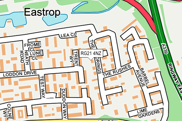 RG21 4NZ map - OS OpenMap – Local (Ordnance Survey) RG21 4NZ map - OS OpenMap – Local (Ordnance Survey)