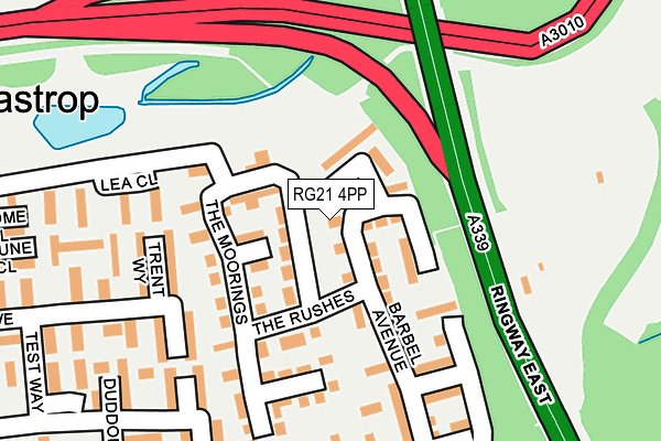 RG21 4PP map - OS OpenMap – Local (Ordnance Survey) RG21 4PP map - OS OpenMap – Local (Ordnance Survey)