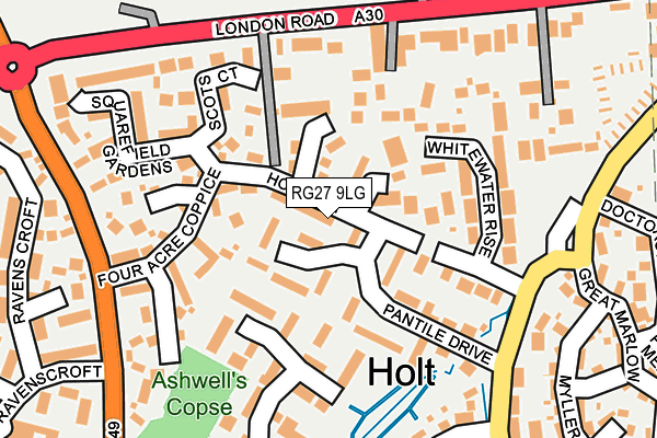 RG27 9LG map - OS OpenMap – Local (Ordnance Survey) RG27 9LG map - OS OpenMap – Local (Ordnance Survey)