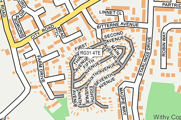 RG31 4TE map - OS OpenMap – Local (Ordnance Survey) RG31 4TE map - OS OpenMap – Local (Ordnance Survey)