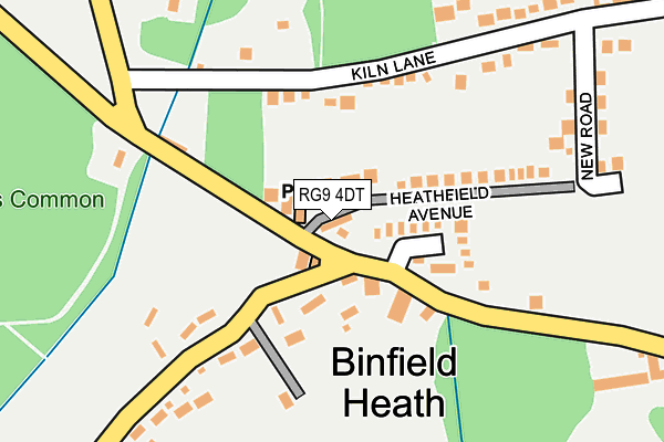 RG9 4DT map - OS OpenMap – Local (Ordnance Survey)