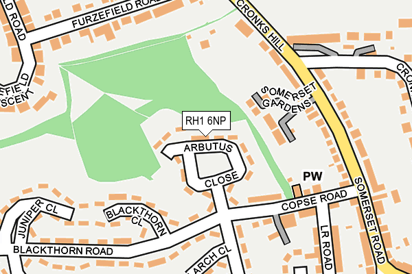 RH1 6NP map - OS OpenMap – Local (Ordnance Survey) RH1 6NP map - OS OpenMap – Local (Ordnance Survey)