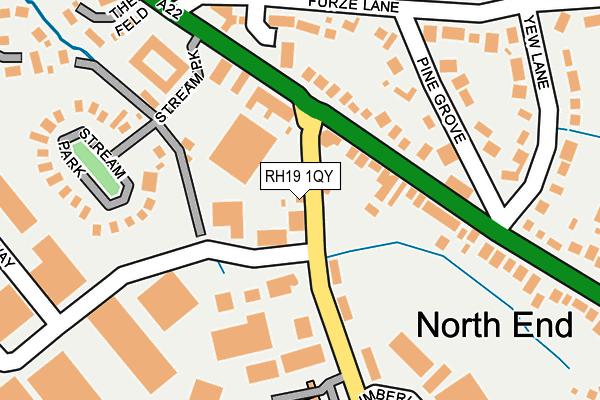 RH19 1QY map - OS OpenMap – Local (Ordnance Survey) RH19 1QY map - OS OpenMap – Local (Ordnance Survey)