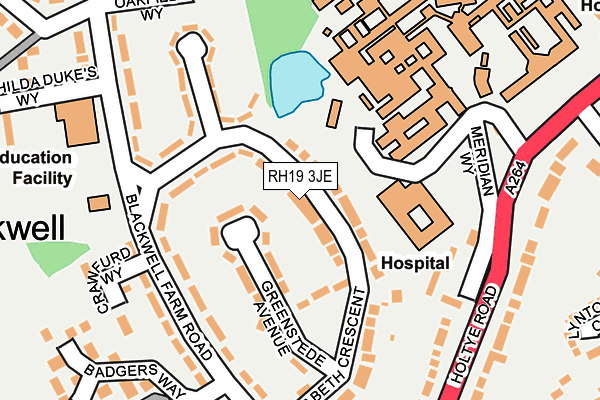 RH19 3JE map - OS OpenMap – Local (Ordnance Survey) RH19 3JE map - OS OpenMap – Local (Ordnance Survey)
