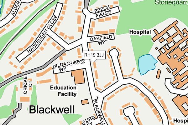 RH19 3JJ map - OS OpenMap – Local (Ordnance Survey) RH19 3JJ map - OS OpenMap – Local (Ordnance Survey)