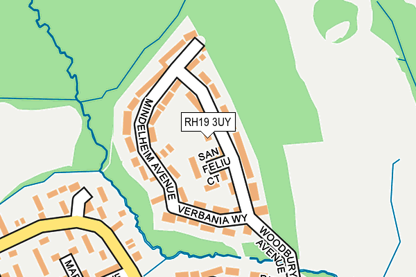 RH19 3UY map - OS OpenMap – Local (Ordnance Survey) RH19 3UY map - OS OpenMap – Local (Ordnance Survey)
