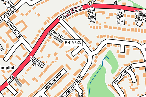 RH19 3XN map - OS OpenMap – Local (Ordnance Survey)