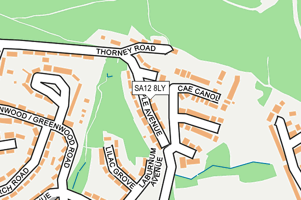 SA12 8LY map - OS OpenMap – Local (Ordnance Survey) SA12 8LY map - OS OpenMap – Local (Ordnance Survey)
