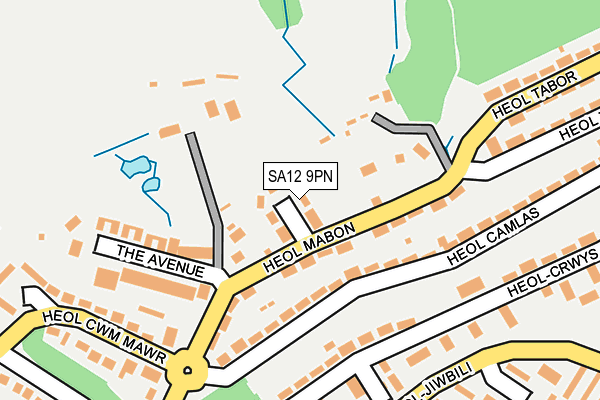 SA12 9PN map - OS OpenMap – Local (Ordnance Survey) SA12 9PN map - OS OpenMap – Local (Ordnance Survey)