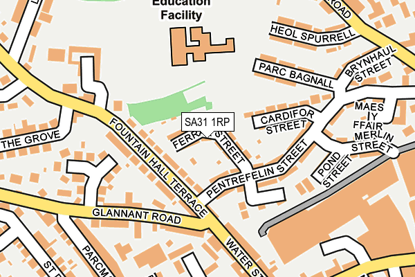 SA31 1RP map - OS OpenMap – Local (Ordnance Survey) SA31 1RP map - OS OpenMap – Local (Ordnance Survey)