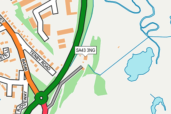 SA43 3NG map - OS OpenMap – Local (Ordnance Survey) SA43 3NG map - OS OpenMap – Local (Ordnance Survey)