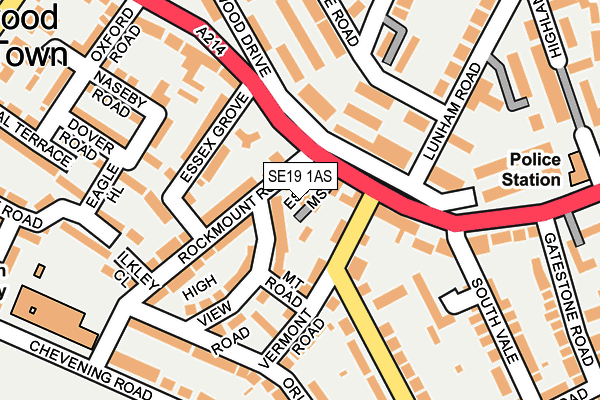 SE19 1AS map - OS OpenMap – Local (Ordnance Survey) SE19 1AS map - OS OpenMap – Local (Ordnance Survey)