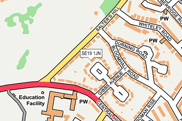 SE19 1JN map - OS OpenMap – Local (Ordnance Survey) SE19 1JN map - OS OpenMap – Local (Ordnance Survey)
