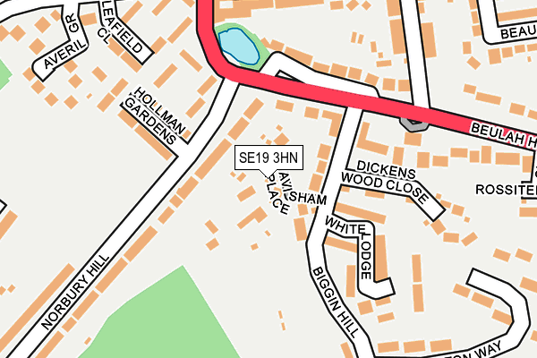 SE19 3HN map - OS OpenMap – Local (Ordnance Survey) SE19 3HN map - OS OpenMap – Local (Ordnance Survey)