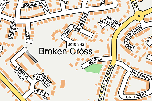SK10 3NS map - OS OpenMap – Local (Ordnance Survey)