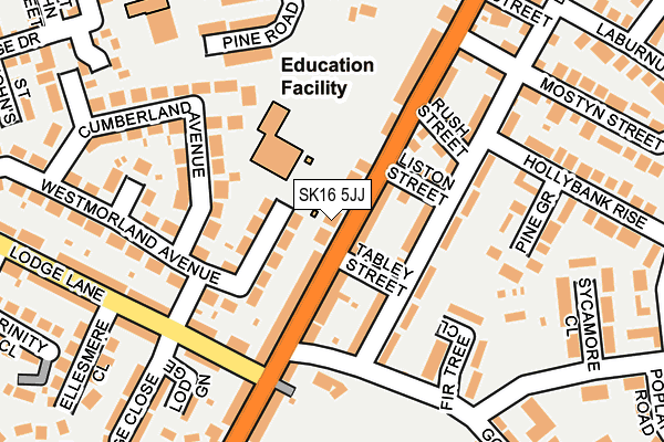 SK16 5JJ map - OS OpenMap – Local (Ordnance Survey)