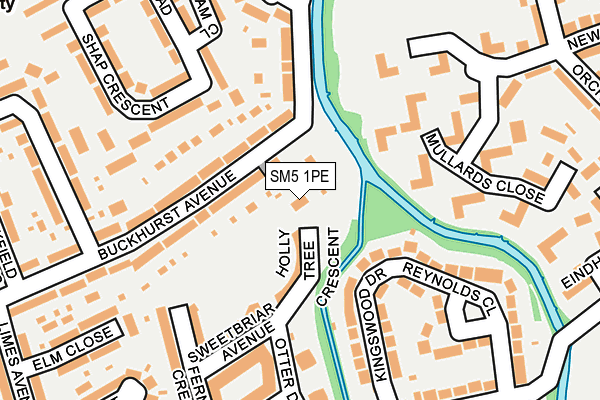SM5 1PE map - OS OpenMap – Local (Ordnance Survey) SM5 1PE map - OS OpenMap – Local (Ordnance Survey)