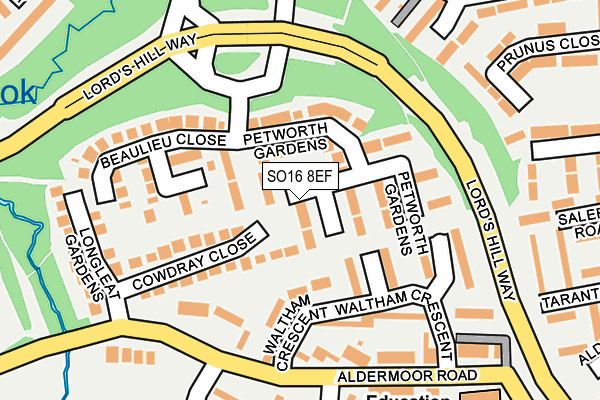 SO16 8EF map - OS OpenMap – Local (Ordnance Survey) SO16 8EF map - OS OpenMap – Local (Ordnance Survey)