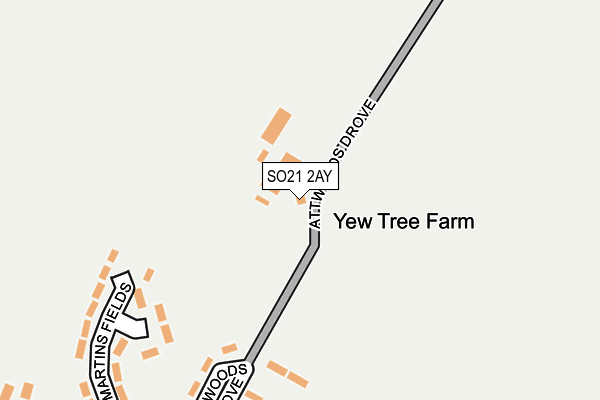 SO21 2AY map - OS OpenMap – Local (Ordnance Survey) SO21 2AY map - OS OpenMap – Local (Ordnance Survey)