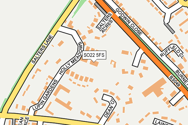 SO22 5FS map - OS OpenMap – Local (Ordnance Survey) SO22 5FS map - OS OpenMap – Local (Ordnance Survey)