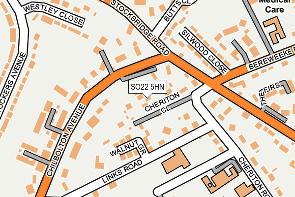 SO22 5HN map - OS OpenMap – Local (Ordnance Survey) SO22 5HN map - OS OpenMap – Local (Ordnance Survey)