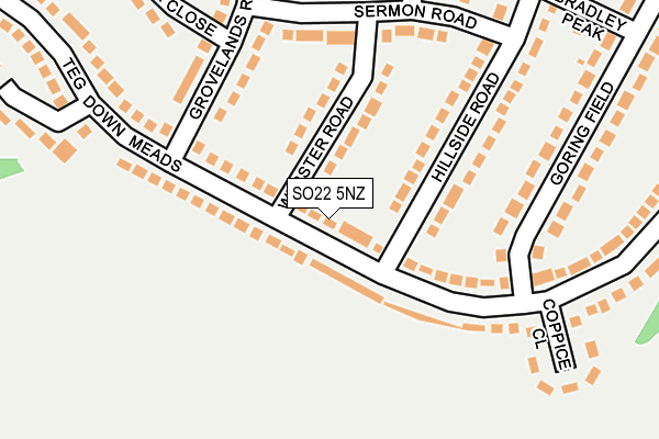 SO22 5NZ map - OS OpenMap – Local (Ordnance Survey) SO22 5NZ map - OS OpenMap – Local (Ordnance Survey)