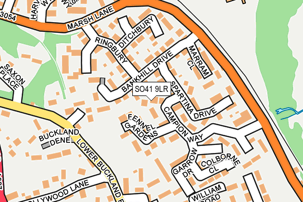 SO41 9LR map - OS OpenMap – Local (Ordnance Survey) SO41 9LR map - OS OpenMap – Local (Ordnance Survey)