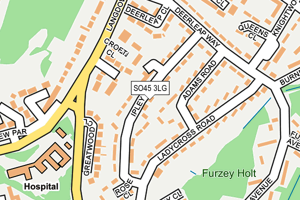 SO45 3LG map - OS OpenMap – Local (Ordnance Survey) SO45 3LG map - OS OpenMap – Local (Ordnance Survey)