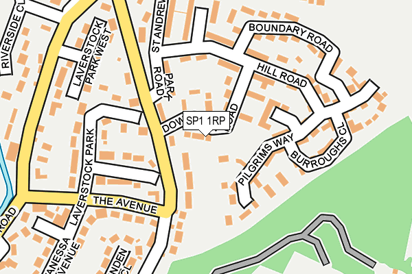 SP1 1RP map - OS OpenMap – Local (Ordnance Survey) SP1 1RP map - OS OpenMap – Local (Ordnance Survey)